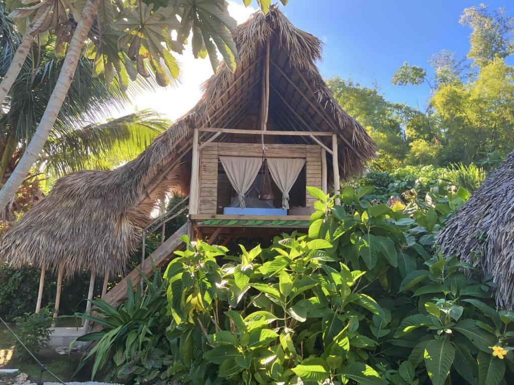 Samana Ecolodge El Limon Exterior photo