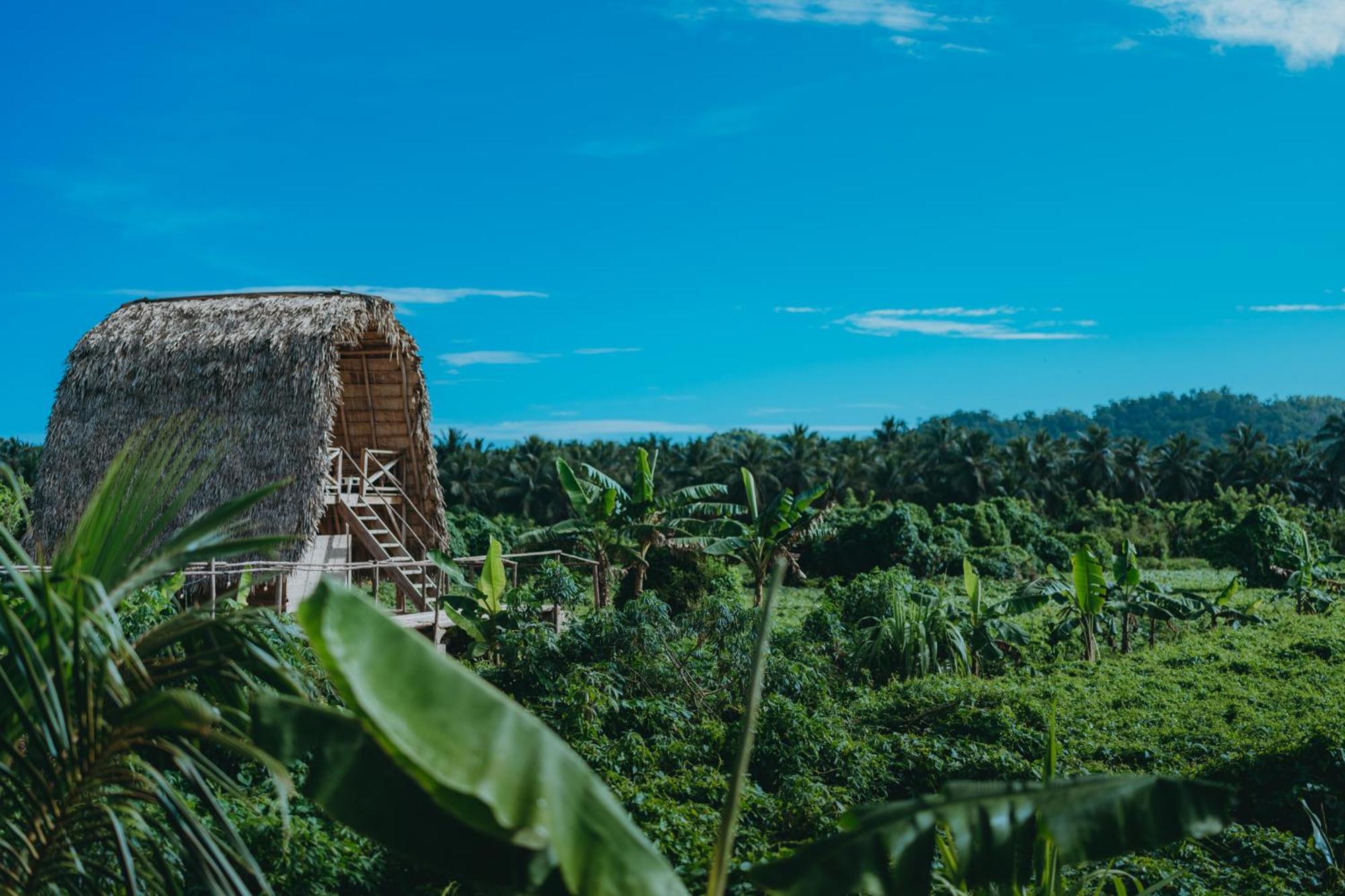 Samana Ecolodge El Limon Exterior photo